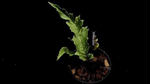 LINE_ALBUM_2025730_250730_31