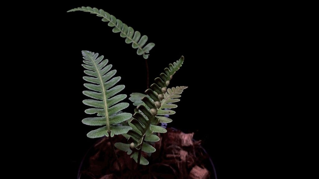 LINE_ALBUM_2025730_250730_22