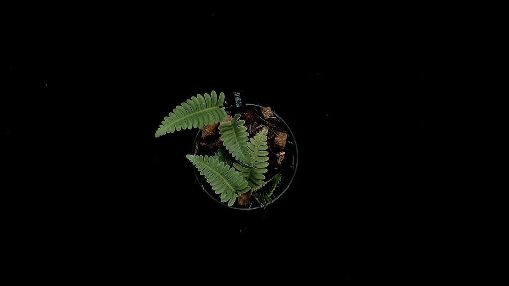 LINE_ALBUM_2025730_250730_23