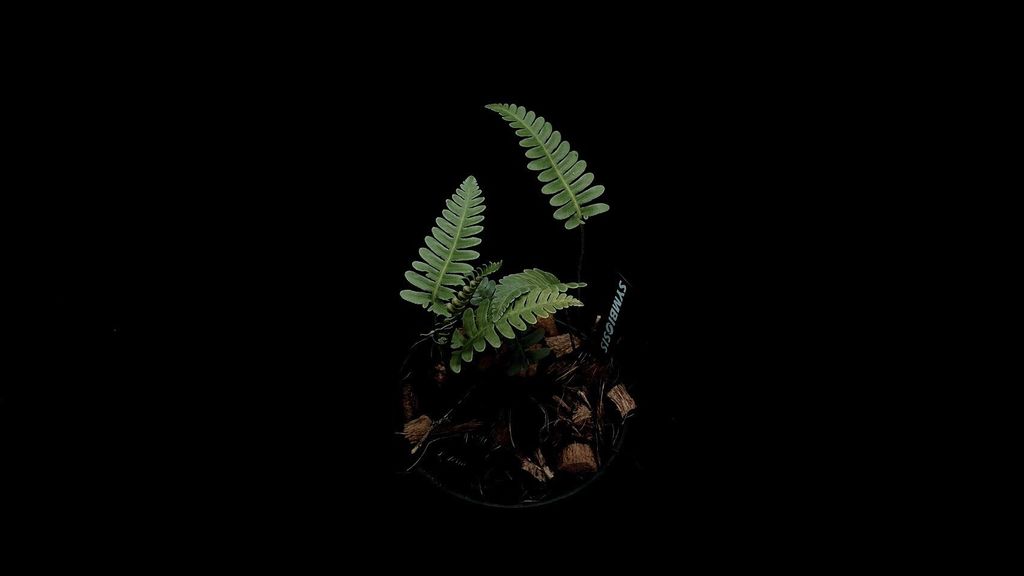 LINE_ALBUM_2025730_250730_24