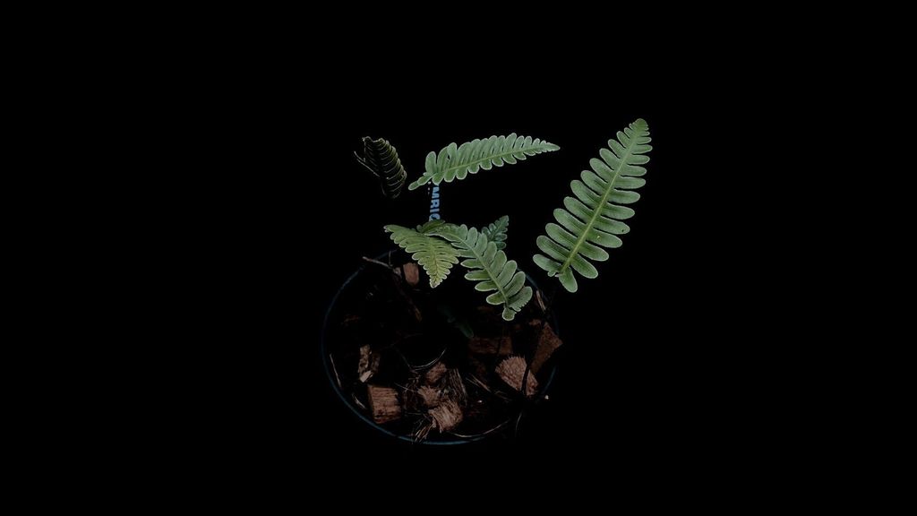 LINE_ALBUM_2025730_250730_25