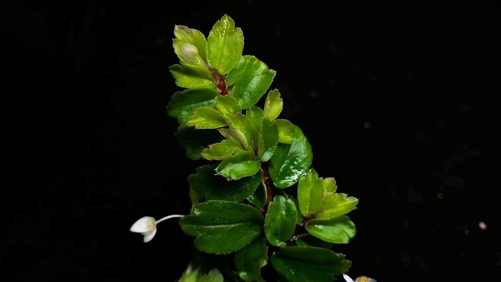 LINE_ALBUM_2025730_250730_3