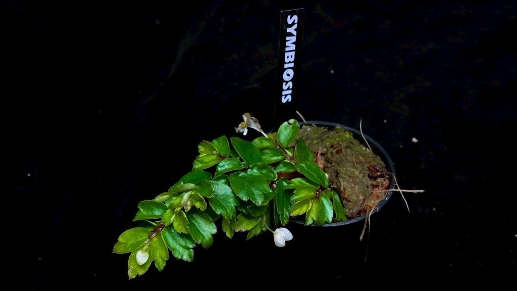 LINE_ALBUM_2025730_250730_2