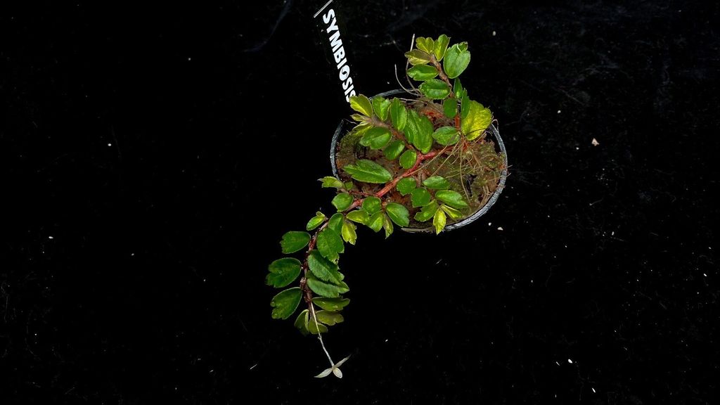 LINE_ALBUM_2025730_250730_4