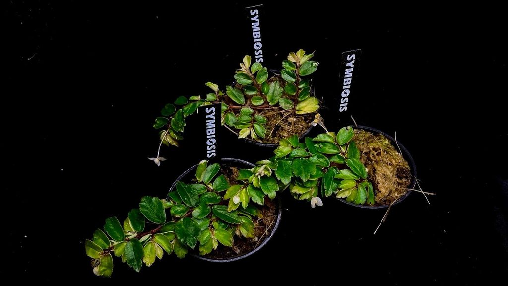 LINE_ALBUM_2025730_250730_5