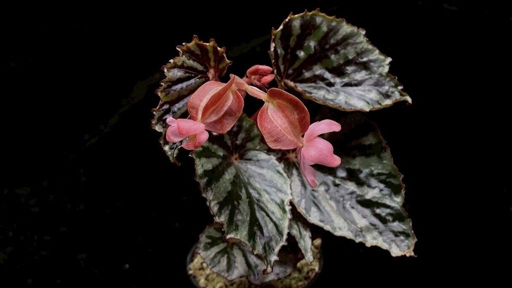 LINE_ALBUM_2025923_250923_46