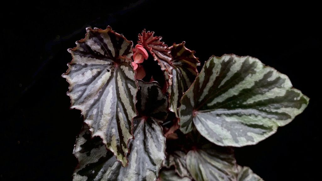 LINE_ALBUM_2025923_250923_45