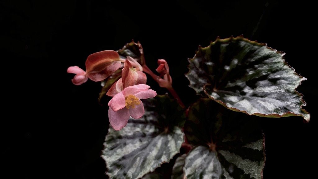 LINE_ALBUM_2025923_250923_47