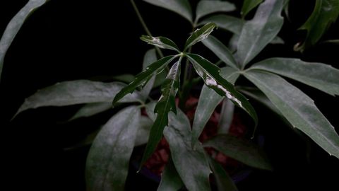LINE_ALBUM_2025923_250923_1