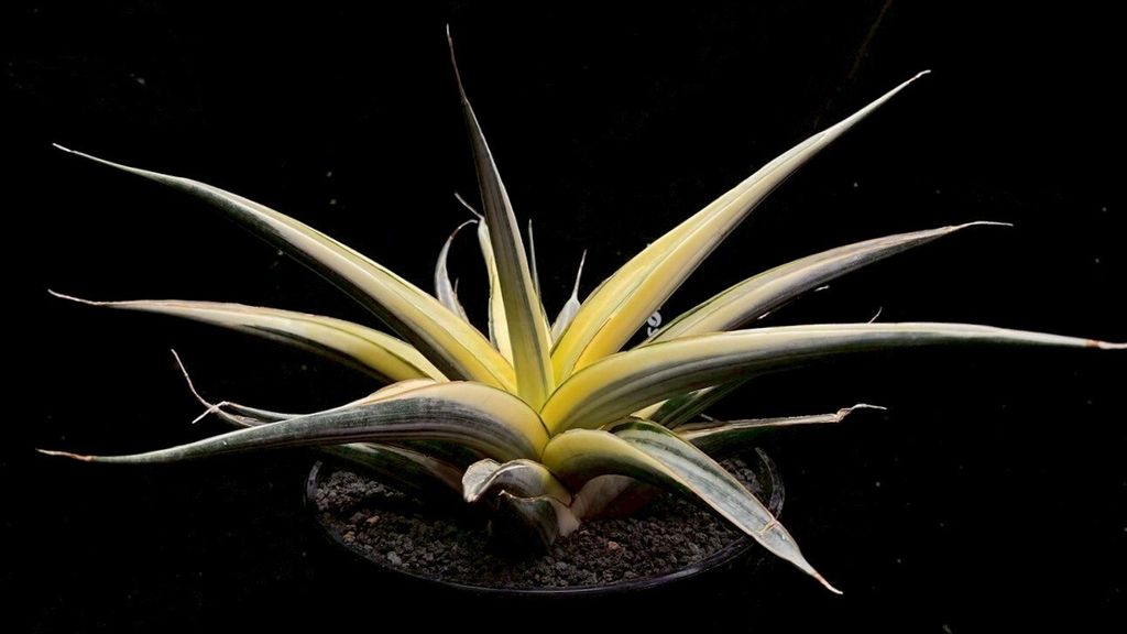 LINE_ALBUM_2025923_250923_108