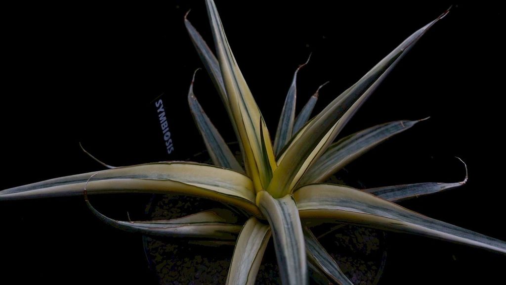 LINE_ALBUM_2025923_250923_105