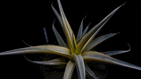 LINE_ALBUM_2025923_250923_105