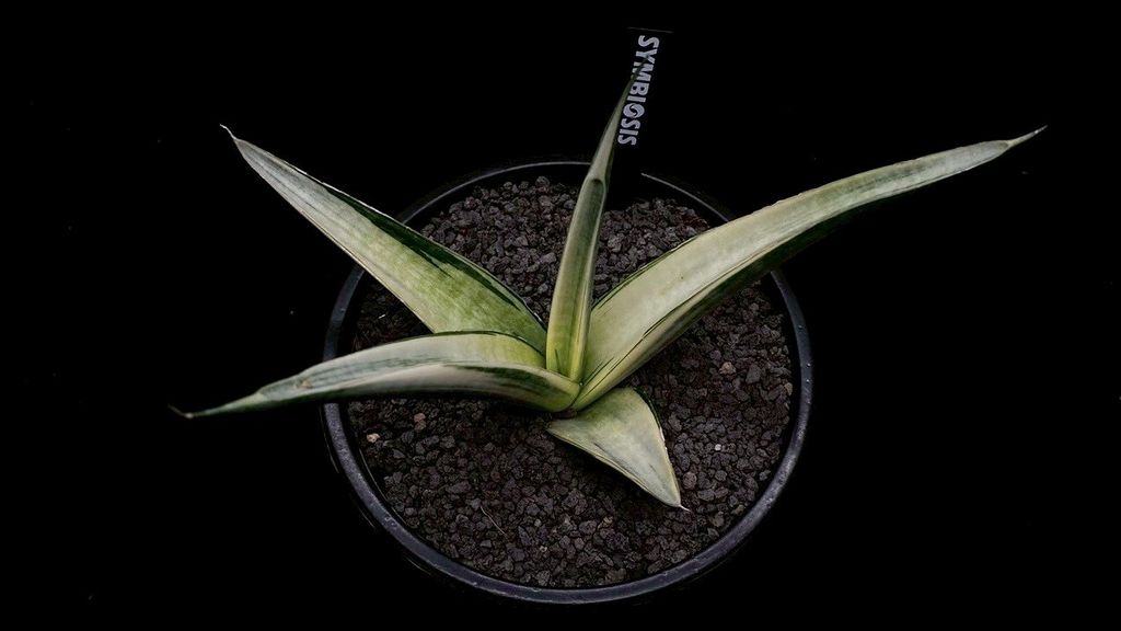 LINE_ALBUM_2025923_250923_37