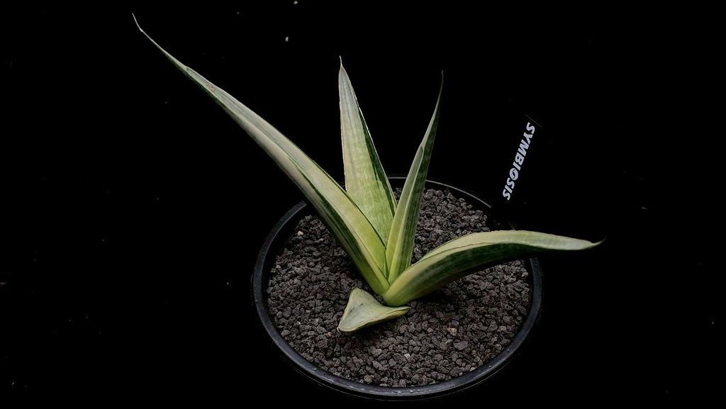 LINE_ALBUM_2025923_250923_39