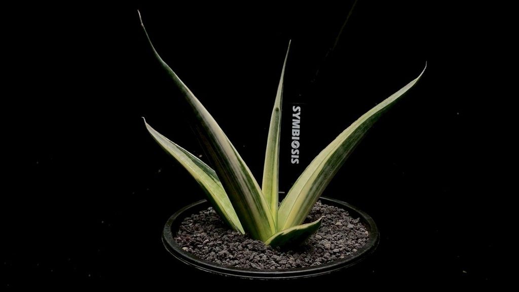 LINE_ALBUM_2025923_250923_38