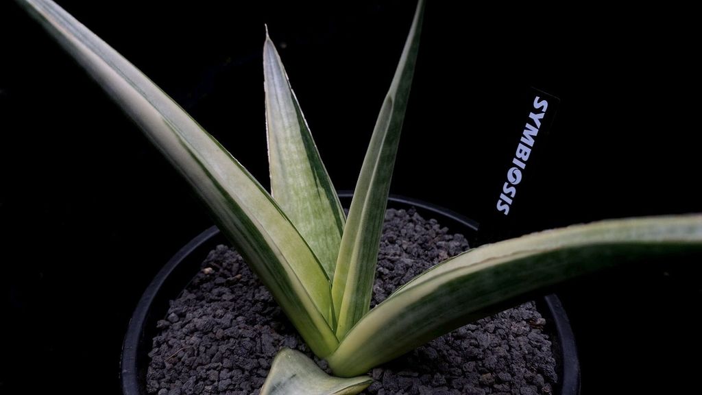 LINE_ALBUM_2025923_250923_40