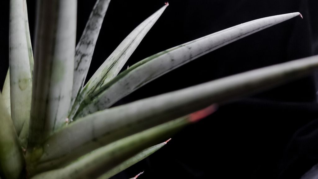 LINE_ALBUM_2023928_230928_5