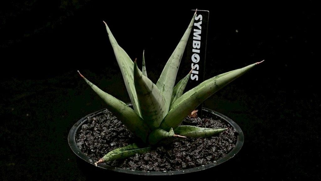 LINE_ALBUM_2025923_250923_95