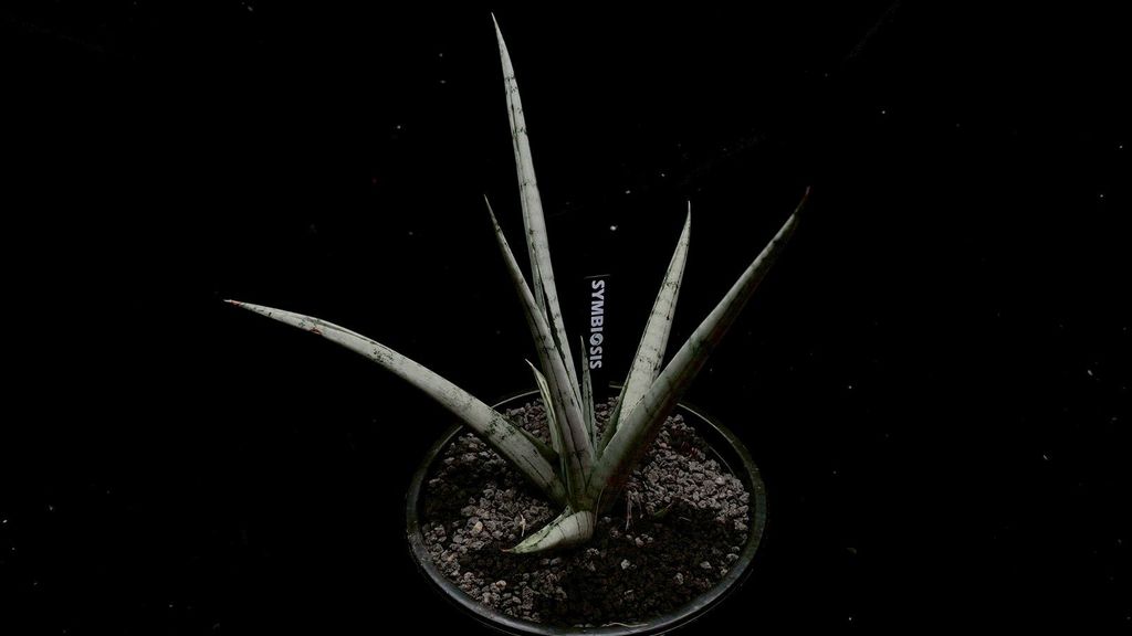 LINE_ALBUM_2025923_250923_101