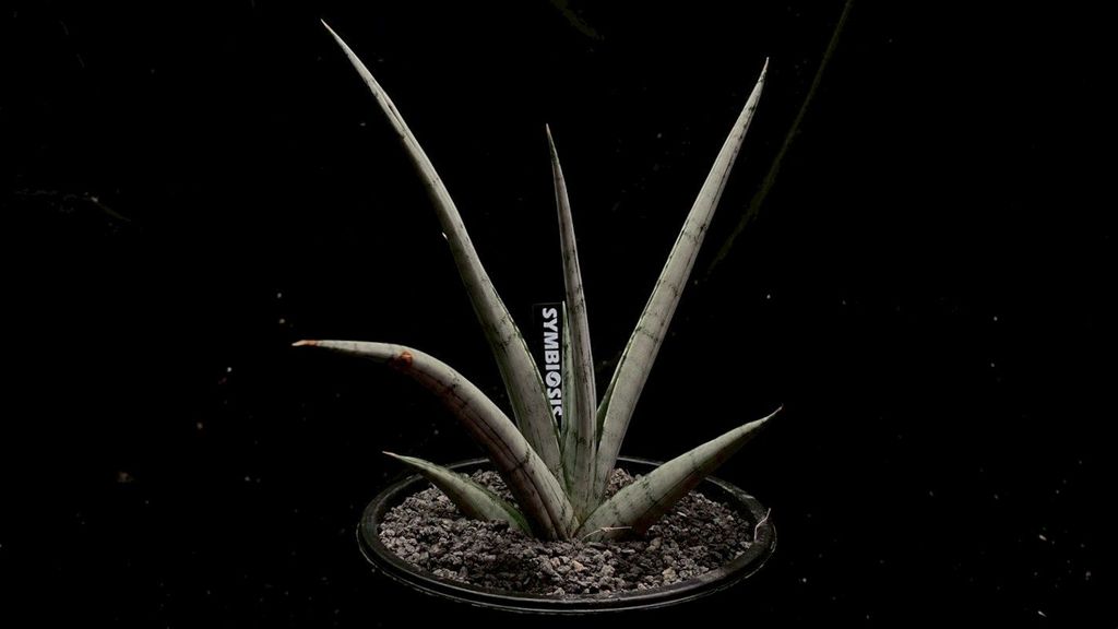 LINE_ALBUM_2025923_250923_104