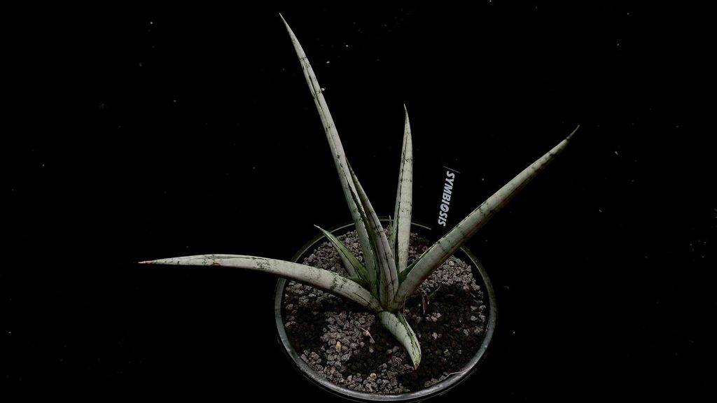 LINE_ALBUM_2025923_250923_103