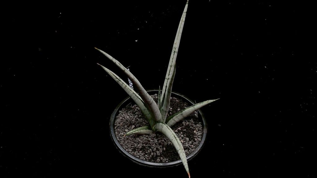 LINE_ALBUM_2025923_250923_102