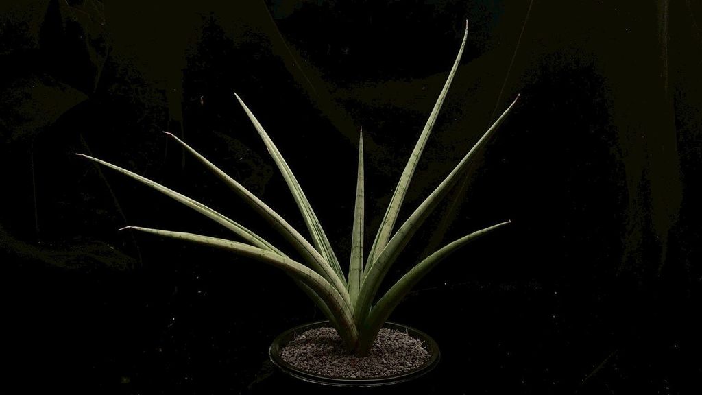 LINE_ALBUM_2025923_250923_100