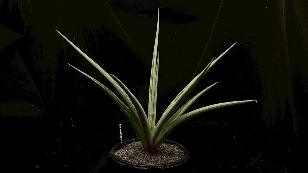 LINE_ALBUM_2025923_250923_99