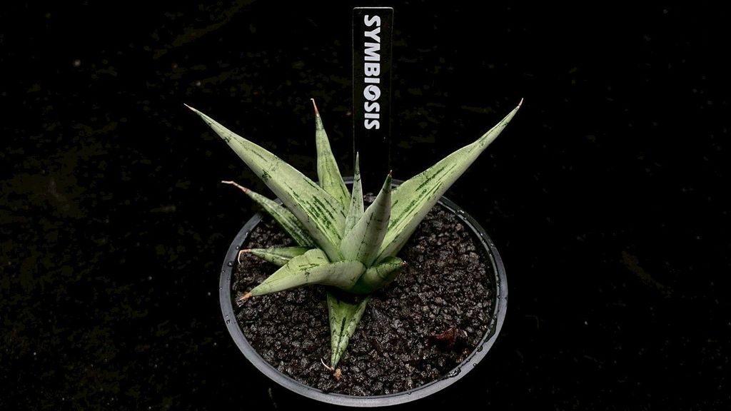 LINE_ALBUM_2025923_250923_96