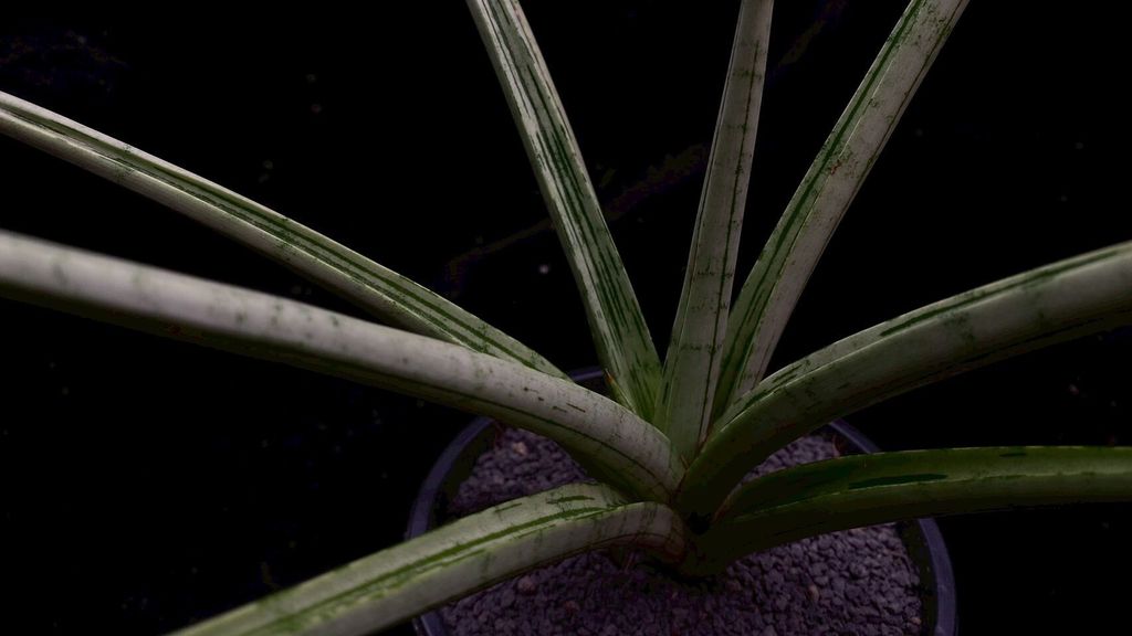 LINE_ALBUM_2025923_250923_98