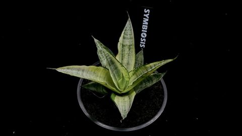 LINE_ALBUM_2025923_250923_69