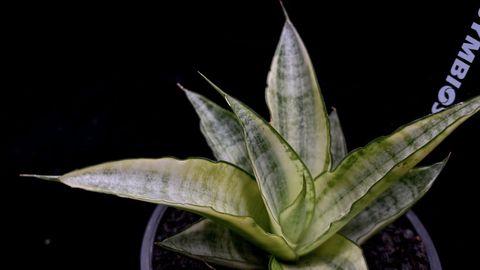 LINE_ALBUM_2025923_250923_67