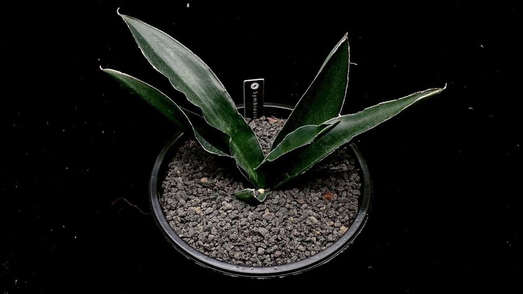 LINE_ALBUM_2025923_250923_20