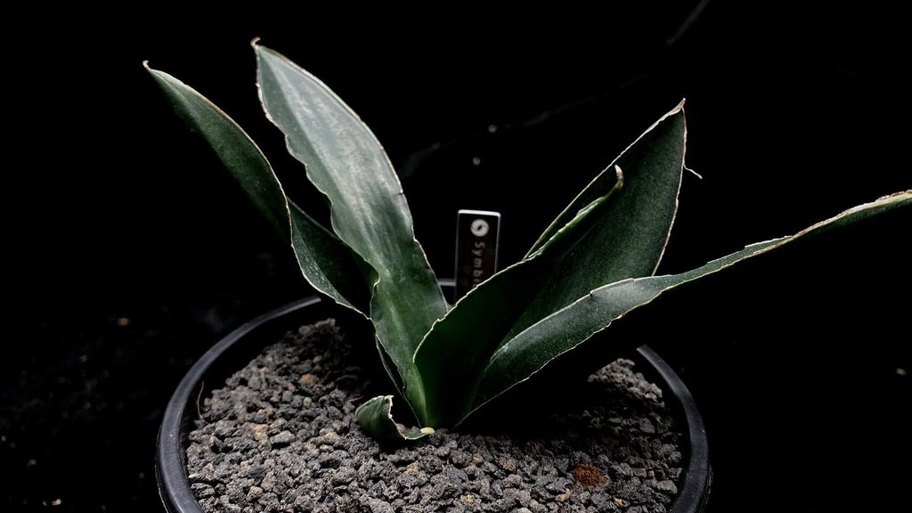 LINE_ALBUM_2025923_250923_18