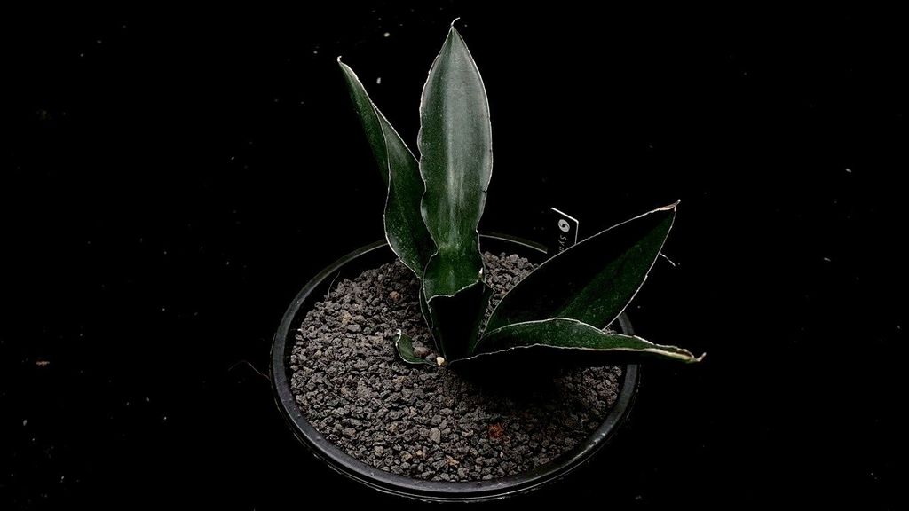 LINE_ALBUM_2025923_250923_19