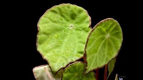 LINE_ALBUM_20251122_251122_11