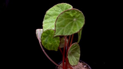 LINE_ALBUM_20251122_251122_9