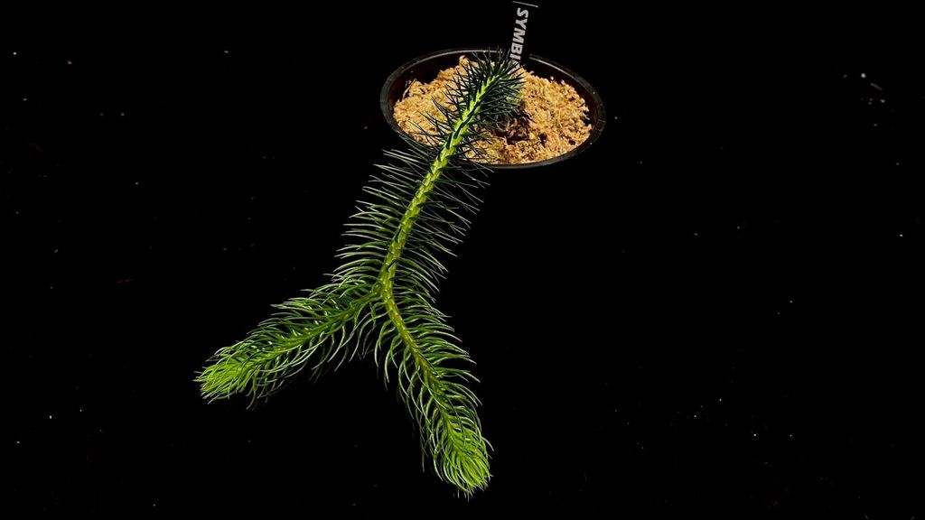 LINE_ALBUM_20251122_251122_27