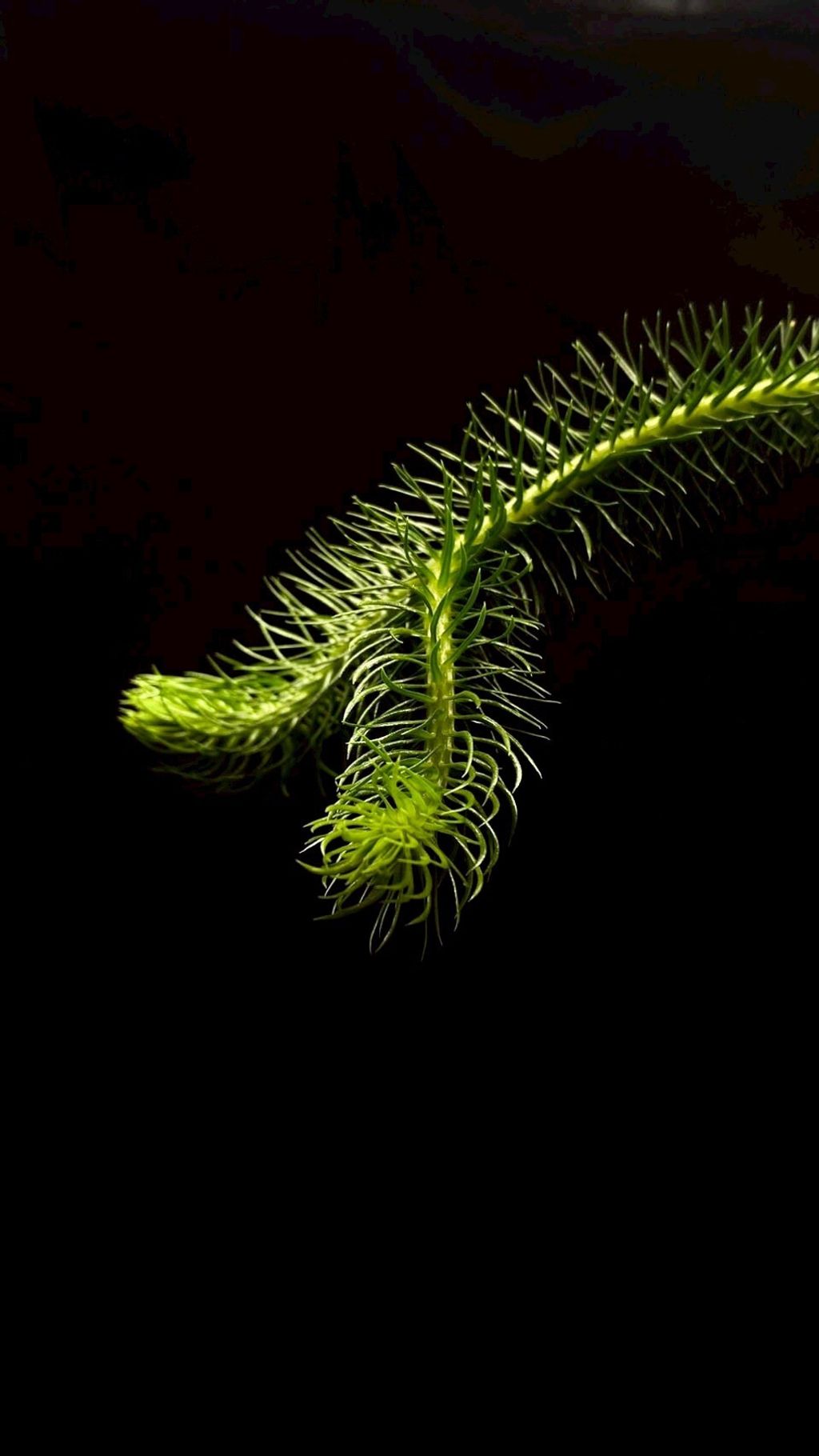 LINE_ALBUM_20251122_251122_24