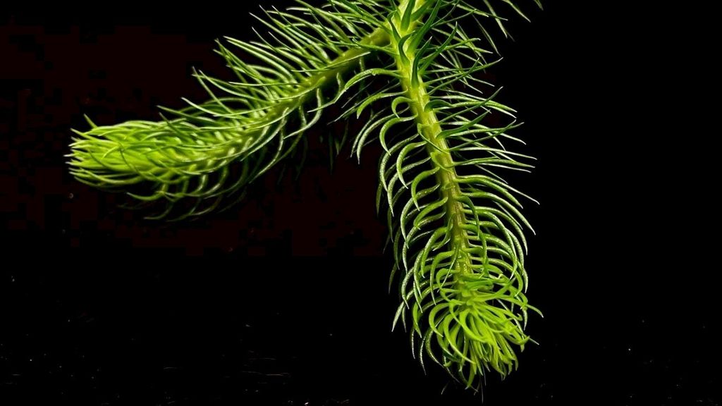 LINE_ALBUM_20251122_251122_23