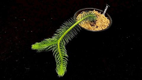 LINE_ALBUM_20251122_251122_22