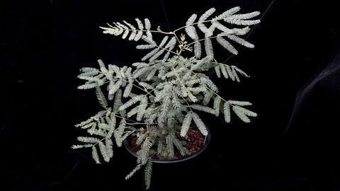 LINE_ALBUM_20241029_241029_48