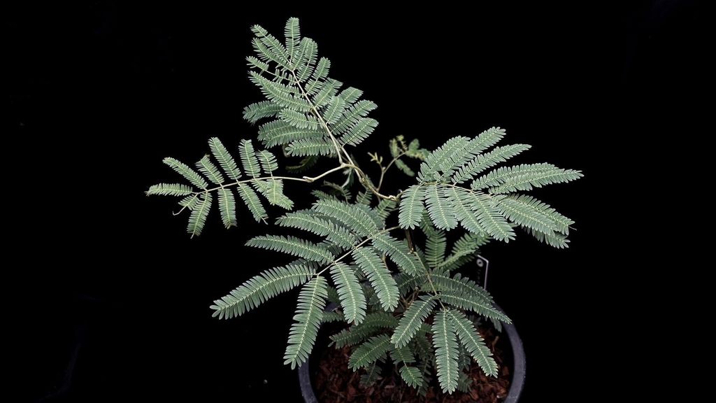 LINE_ALBUM_20241029_241029_46