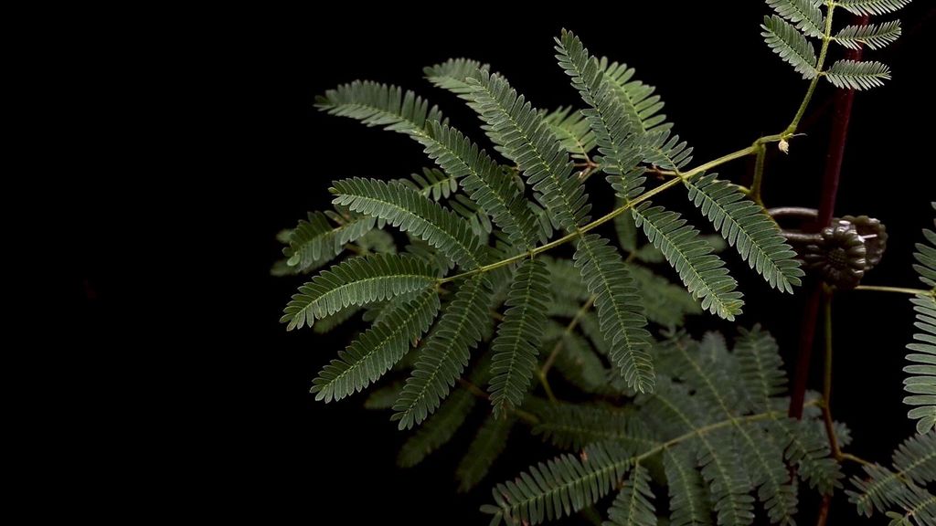 LINE_ALBUM_20251122_251122_38