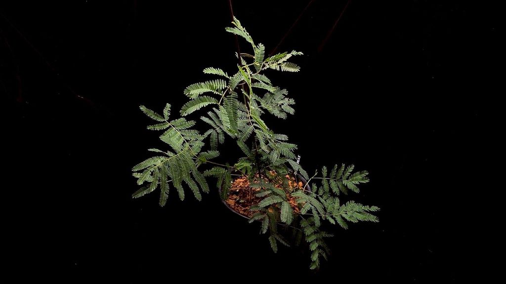 LINE_ALBUM_20251122_251122_40