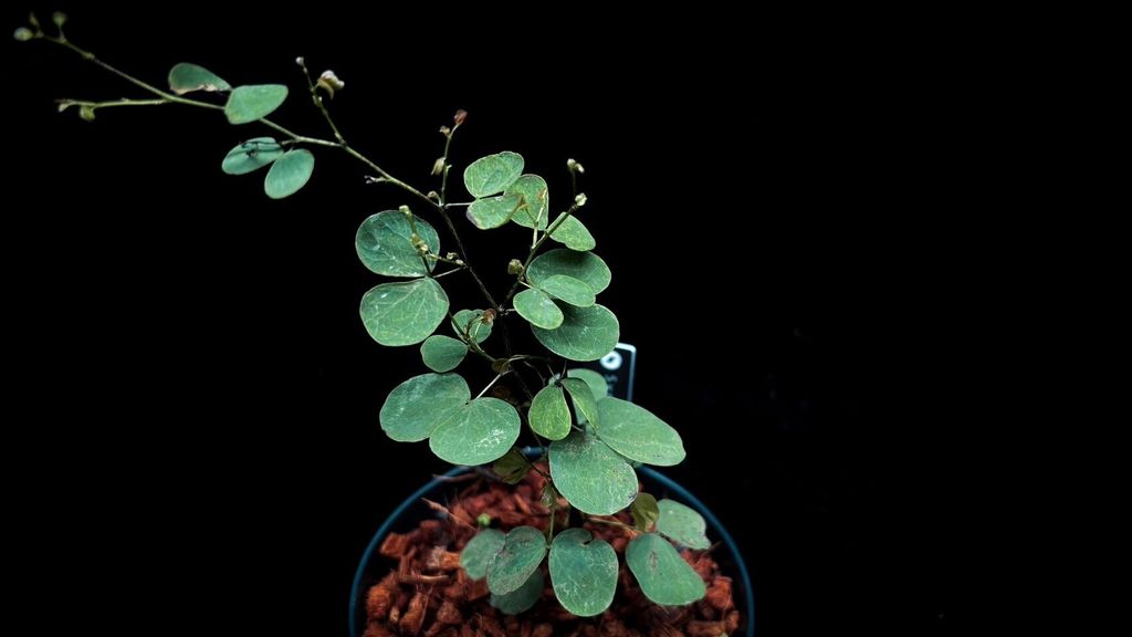 LINE_ALBUM_20241029_241029_55