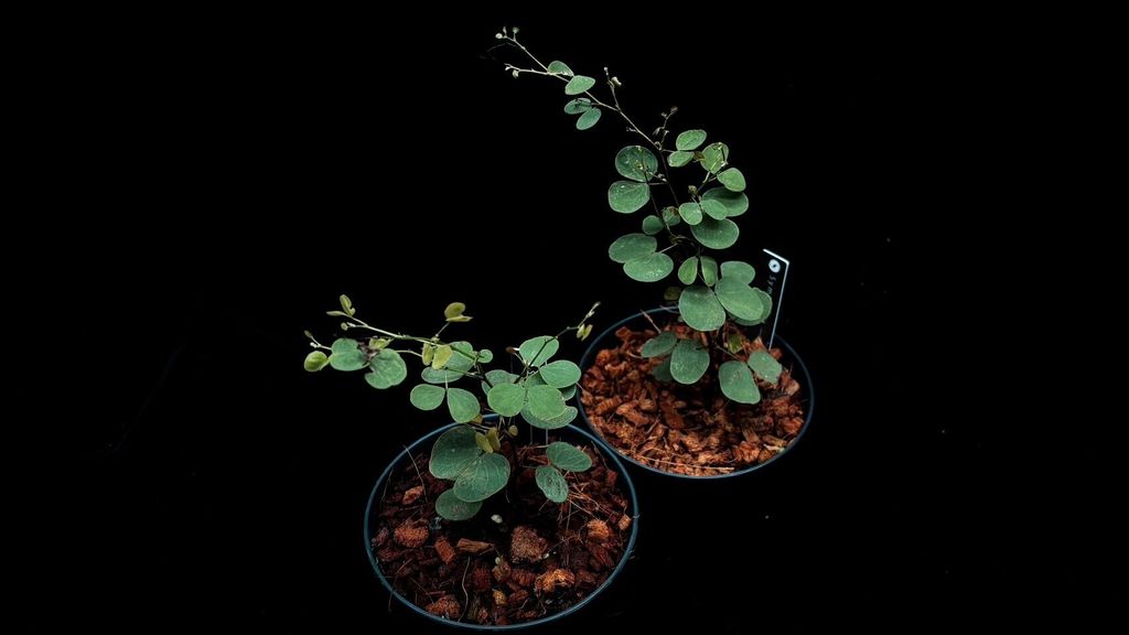 LINE_ALBUM_20241029_241029_56