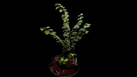 LINE_ALBUM_20251122_251122_48