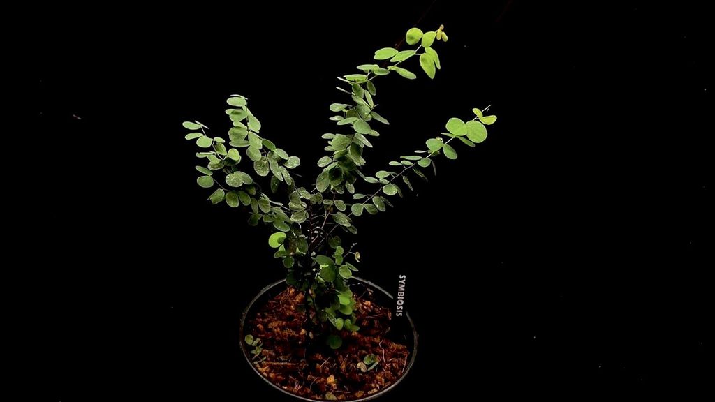 LINE_ALBUM_20251122_251122_47