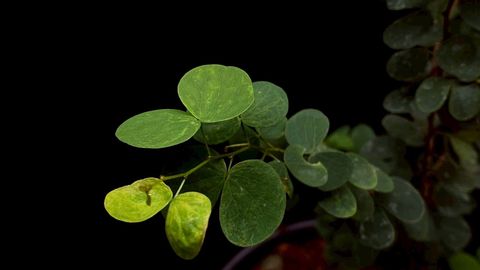 LINE_ALBUM_20251122_251122_52